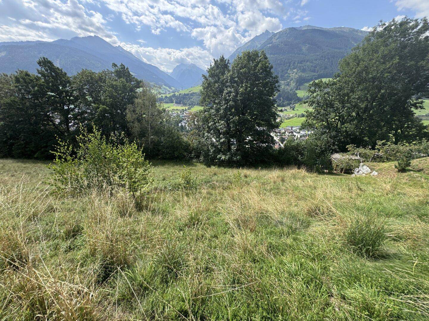Weitläufige Wiesenfläche mit Bäumen und einem beeindruckenden Panoramablick auf das Tal und die umliegenden Berge.
