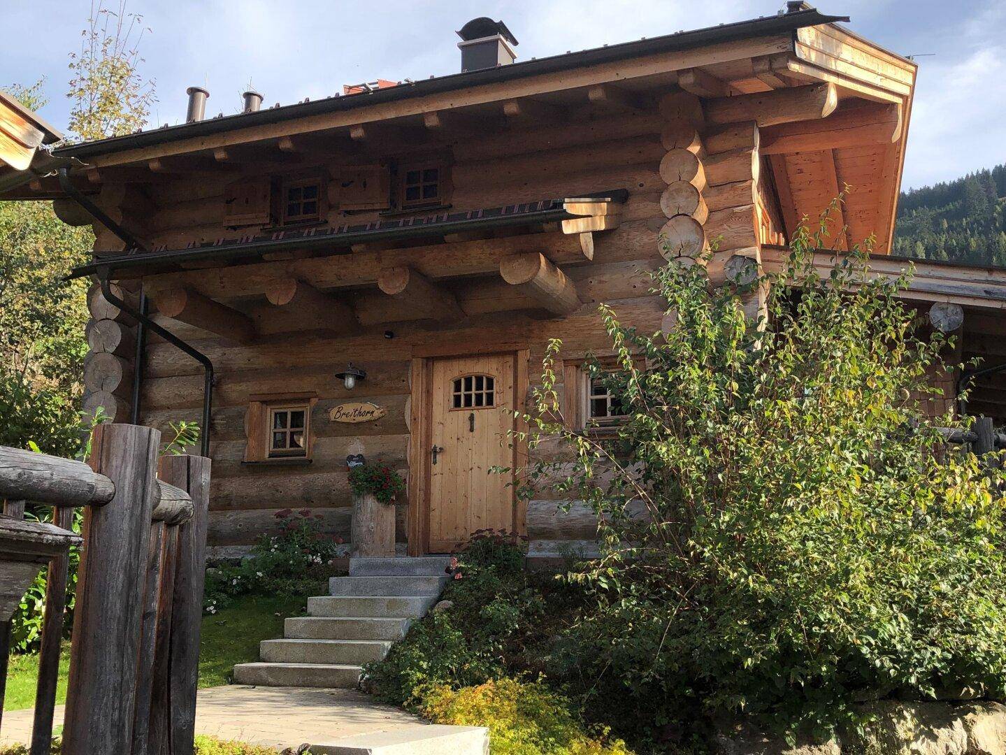 Eingangsbereich eines Holzhauses mit Steintreppe und grüner Bepflanzung.