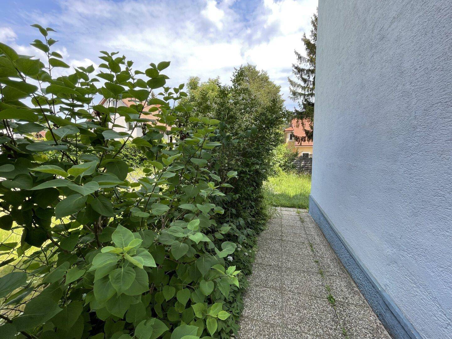 Schmaler gepflasterter Weg entlang der Hauswand, umgeben von dichtem Grün.