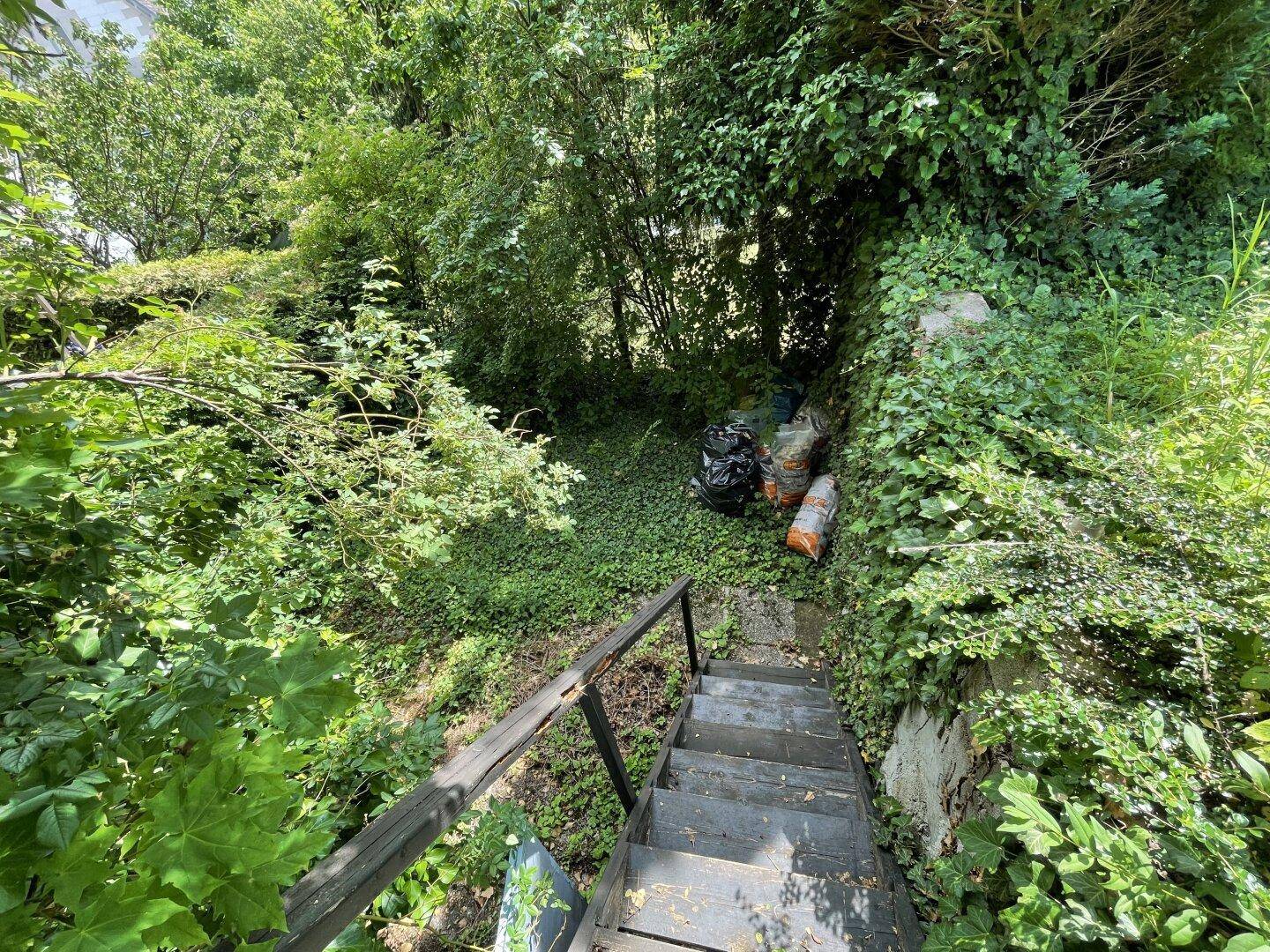Überwuchertes Gartengrundstück mit Treppe und dichtem Bewuchs, bereit zur Neugestaltung.