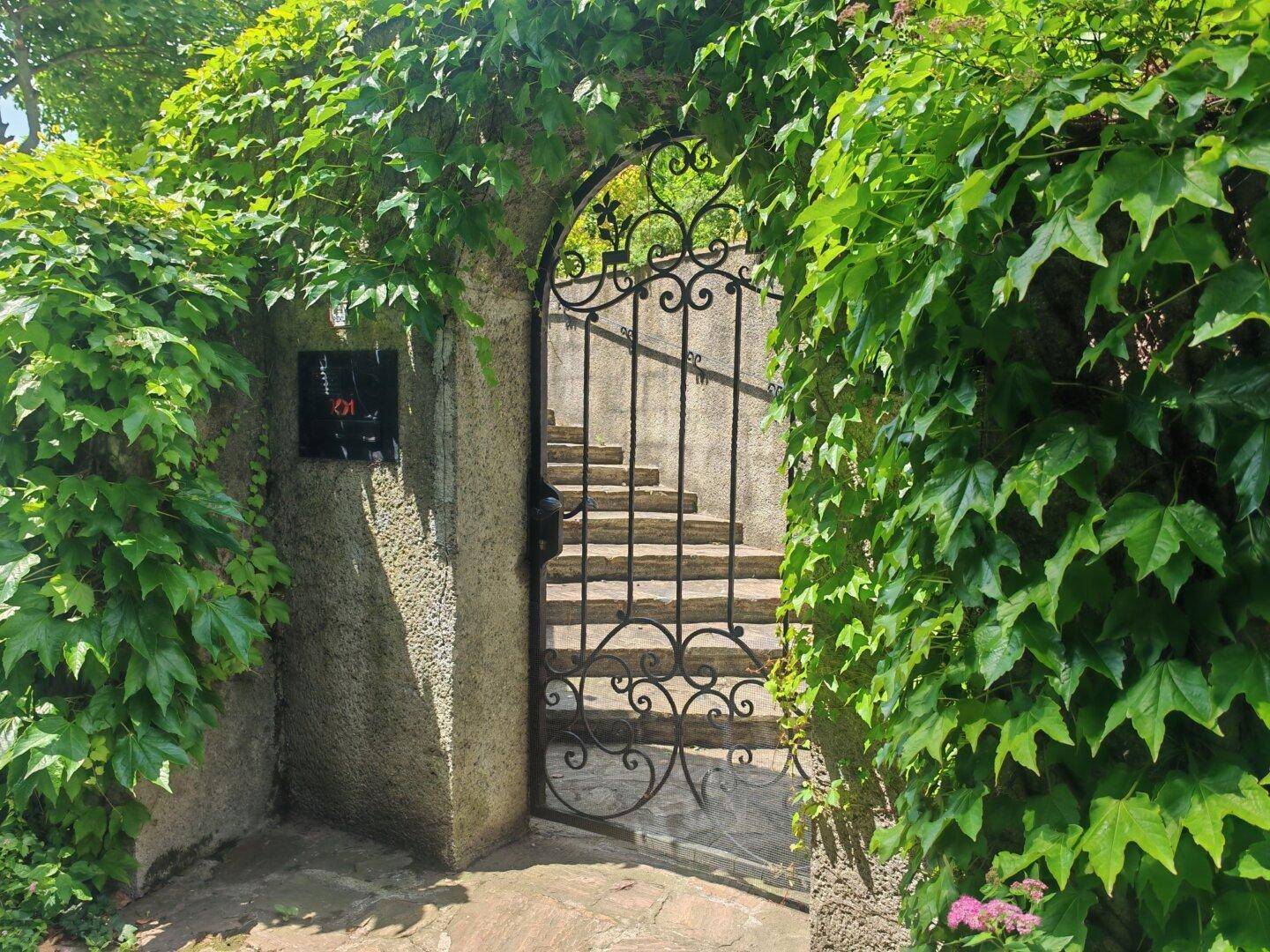 Historisches schmiedeeisernes Tor, umrankt von Efeu, führt zu einer Steintreppe.