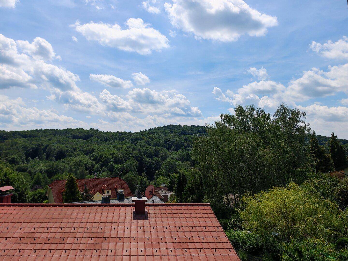 Panoramablick aus dem Fenster auf weite Wälder, grüne Hügel und eine idyllische Landschaft.