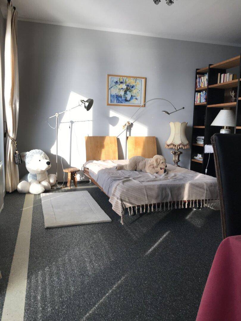 Helles Schlafzimmer mit Teppichboden, Bücherregal und Sonnenlicht durch das große Fenster.