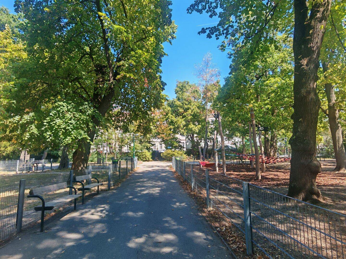 Ein sonniger Parkweg mit vielen Bäumen, Bänken und einem Spielplatz im Hintergrund.