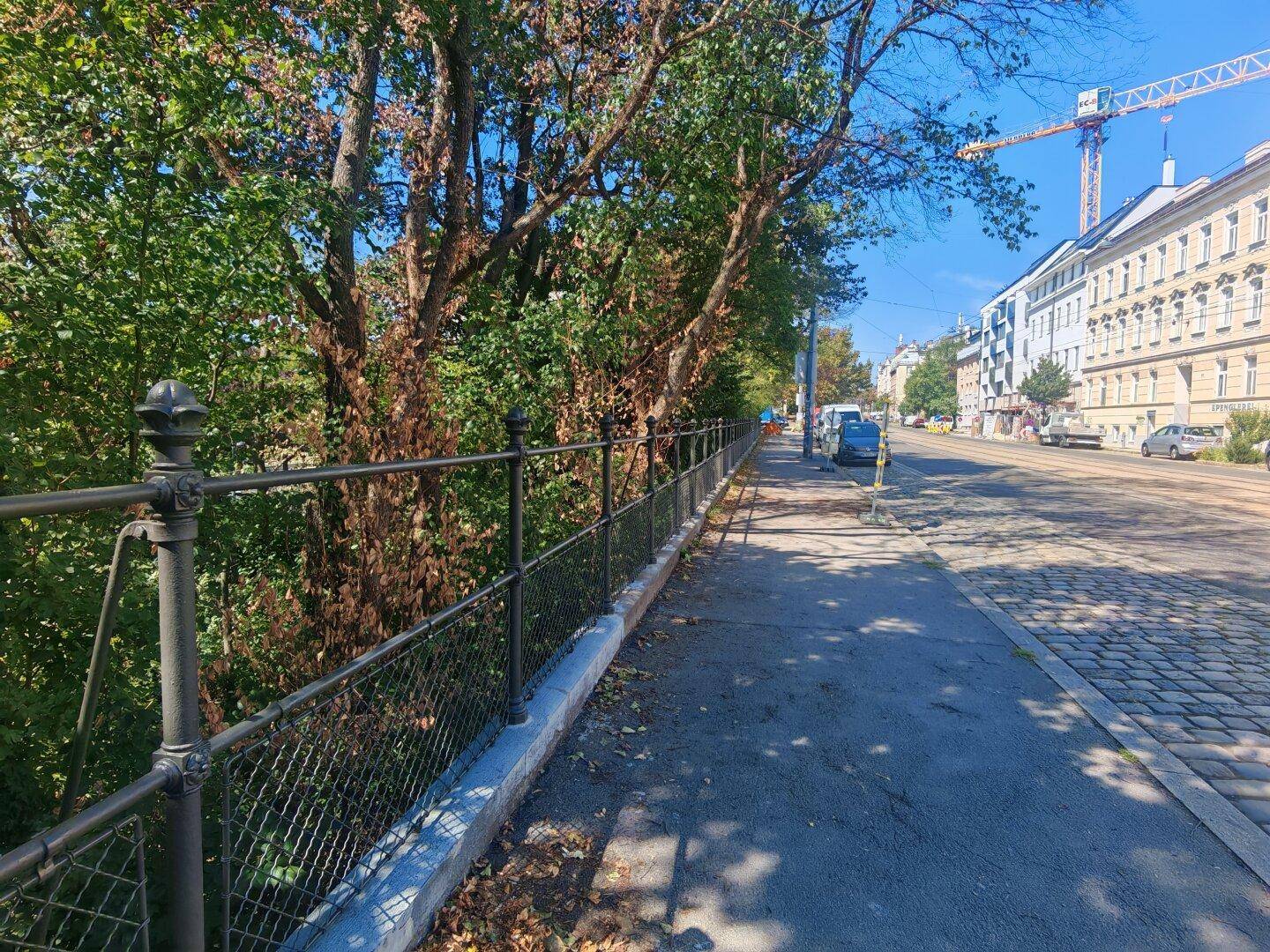 Sonniger Straßenblick mit Bäumen, Bürgersteig und Gebäuden im Hintergrund, ein Kran ist sichtbar.