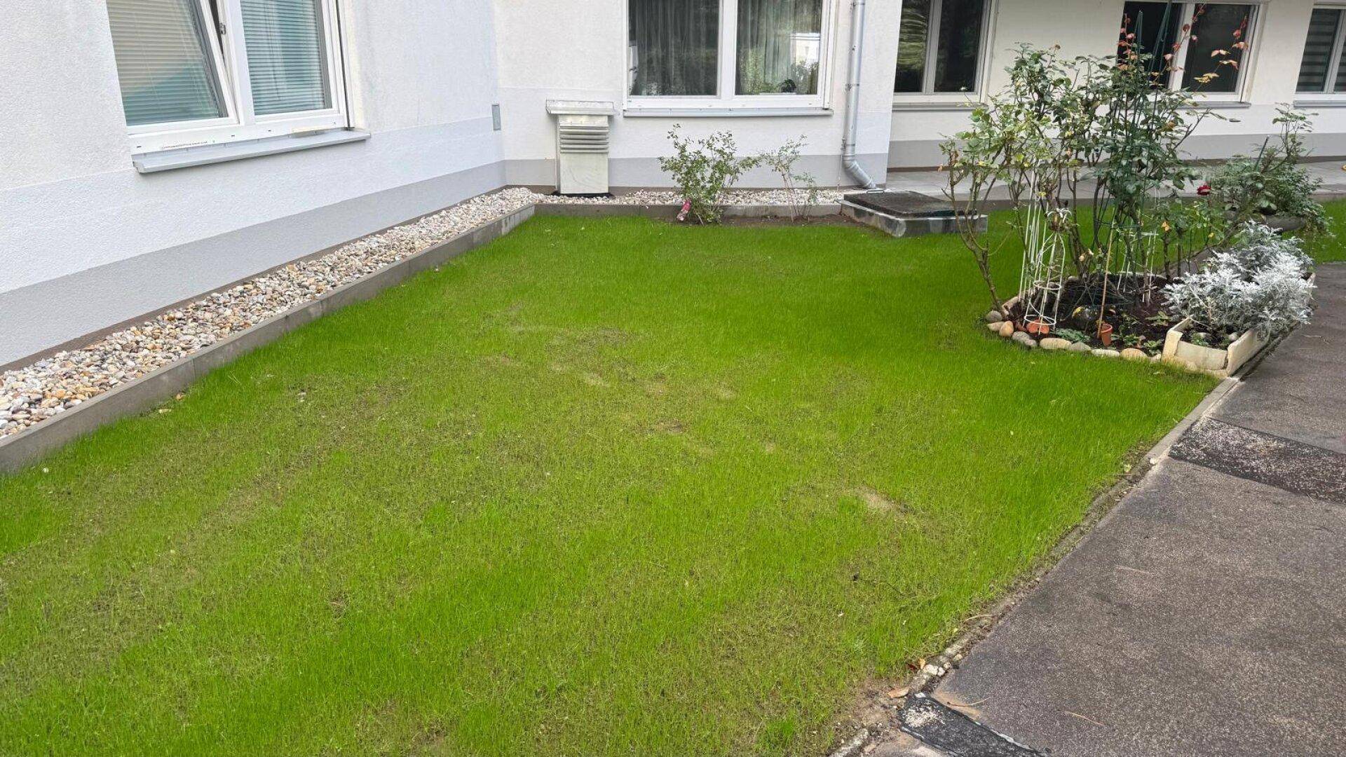 Kleiner Gartenbereich neben dem Gebäude mit Rasenfläche und Pflanzen.