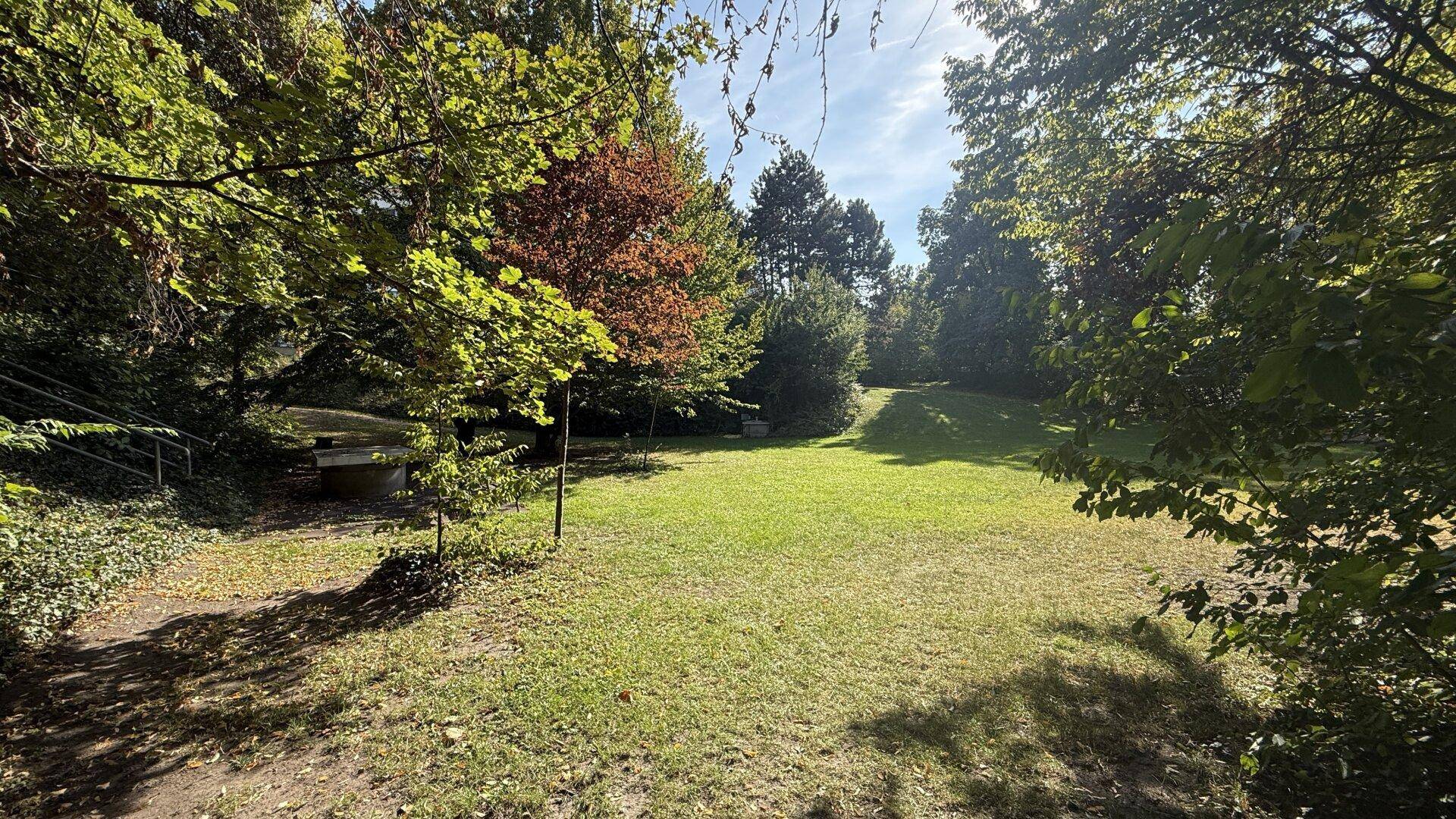 Weitläufige Grünfläche mit Bäumen und sonnigen Bereichen, ideal zur Erholung.