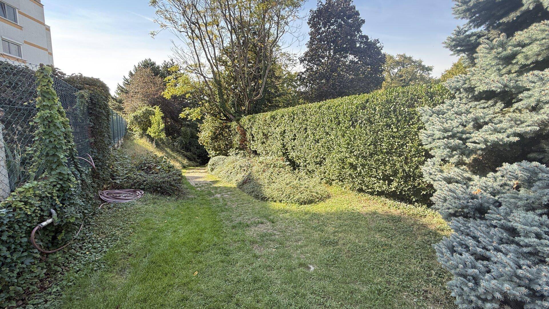 Schmaler Gartenweg entlang einer Hecke und eines Gebäudes mit viel Grün.