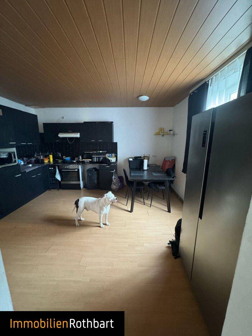 Küche mit dunklen Schränken und einem Esstisch, ein Hund steht auf dem hellen Laminatboden.
