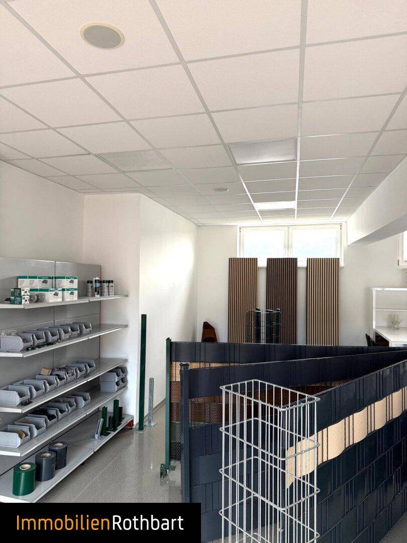 Gewerbefläche mit Regalsystemen zur Produktpräsentation und dekorativen Wandpaneelen.