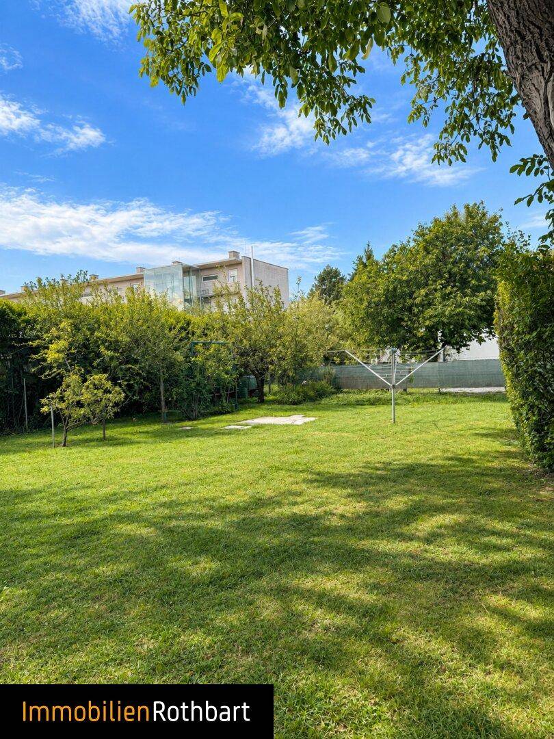 Großer, gepflegter Rasen im Gartenbereich mit Wäschespinne und umgebenden Bäumen.