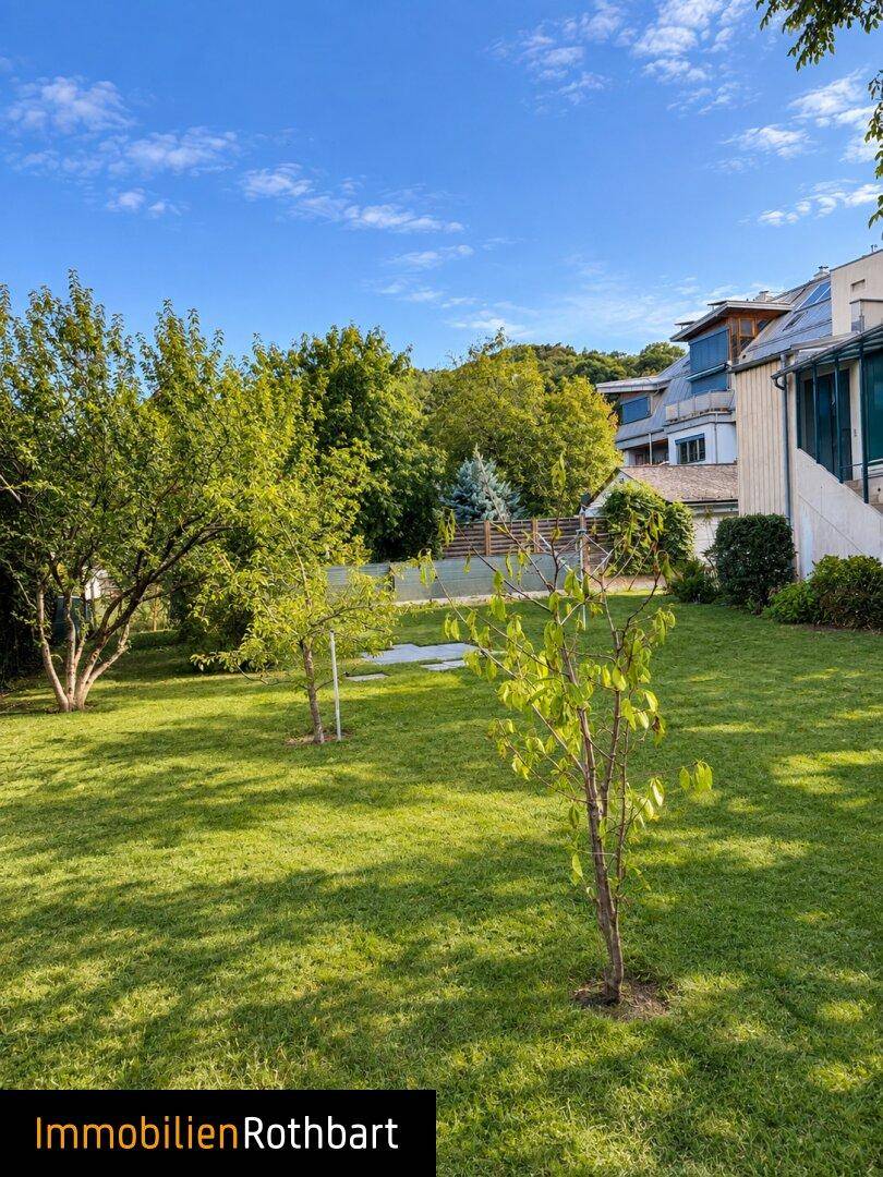 Weitläufiger Garten mit jungem Baumbestand und sonniger Rasenfläche hinter dem Haus.