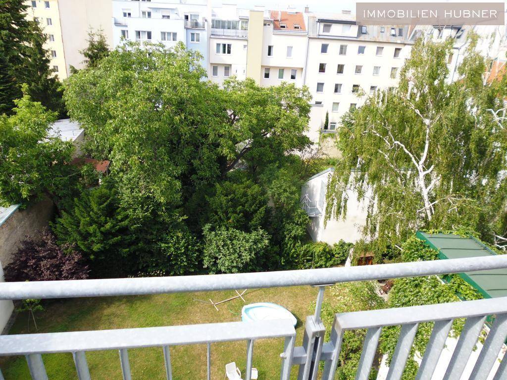 toller Blick ins Grüne
