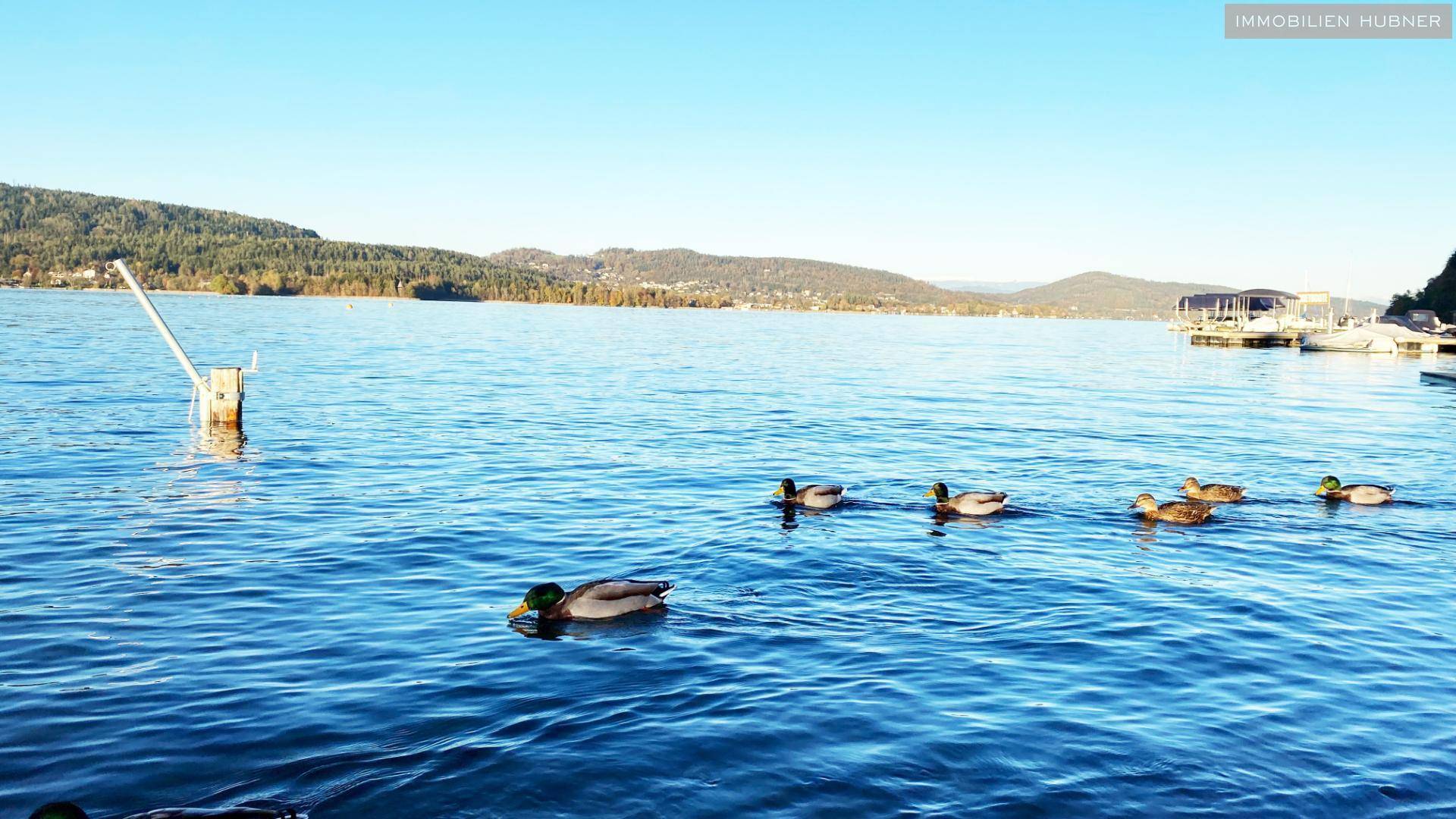 Natur pur am Wörthersee