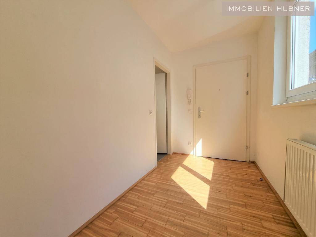 Bild (1)