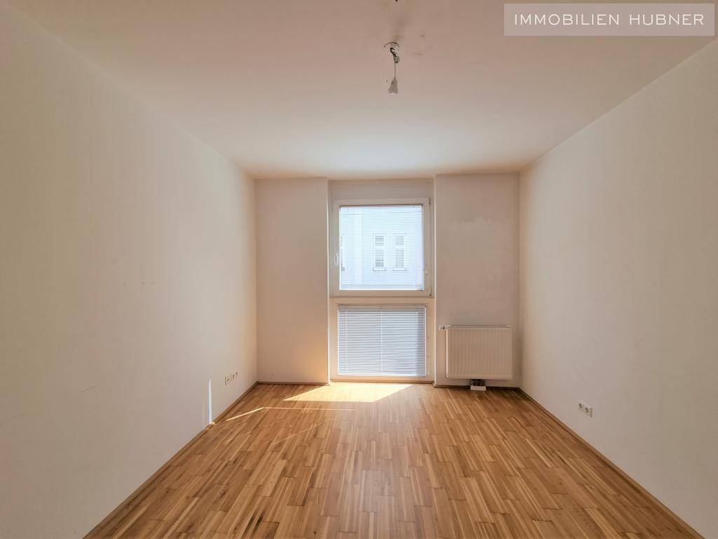 Bild (6)