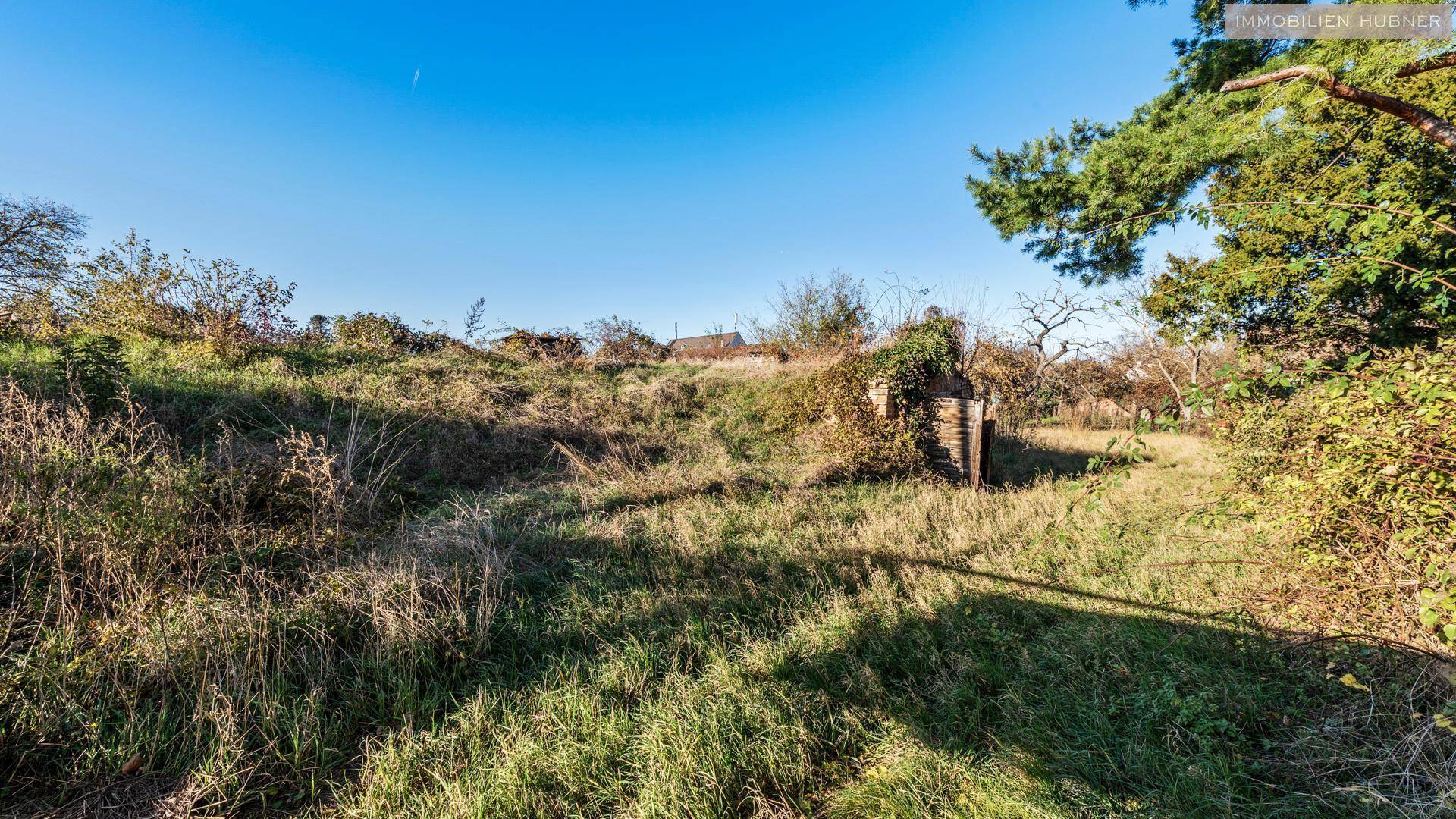 Blick aufs Grundstück Kellerberg