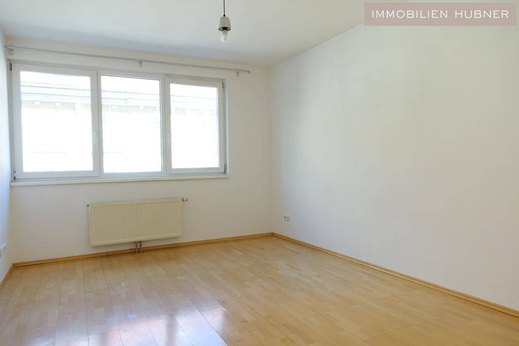 Zimmer 2