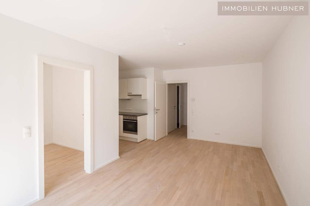 Wohnzimmer, Blick zum Vorraum