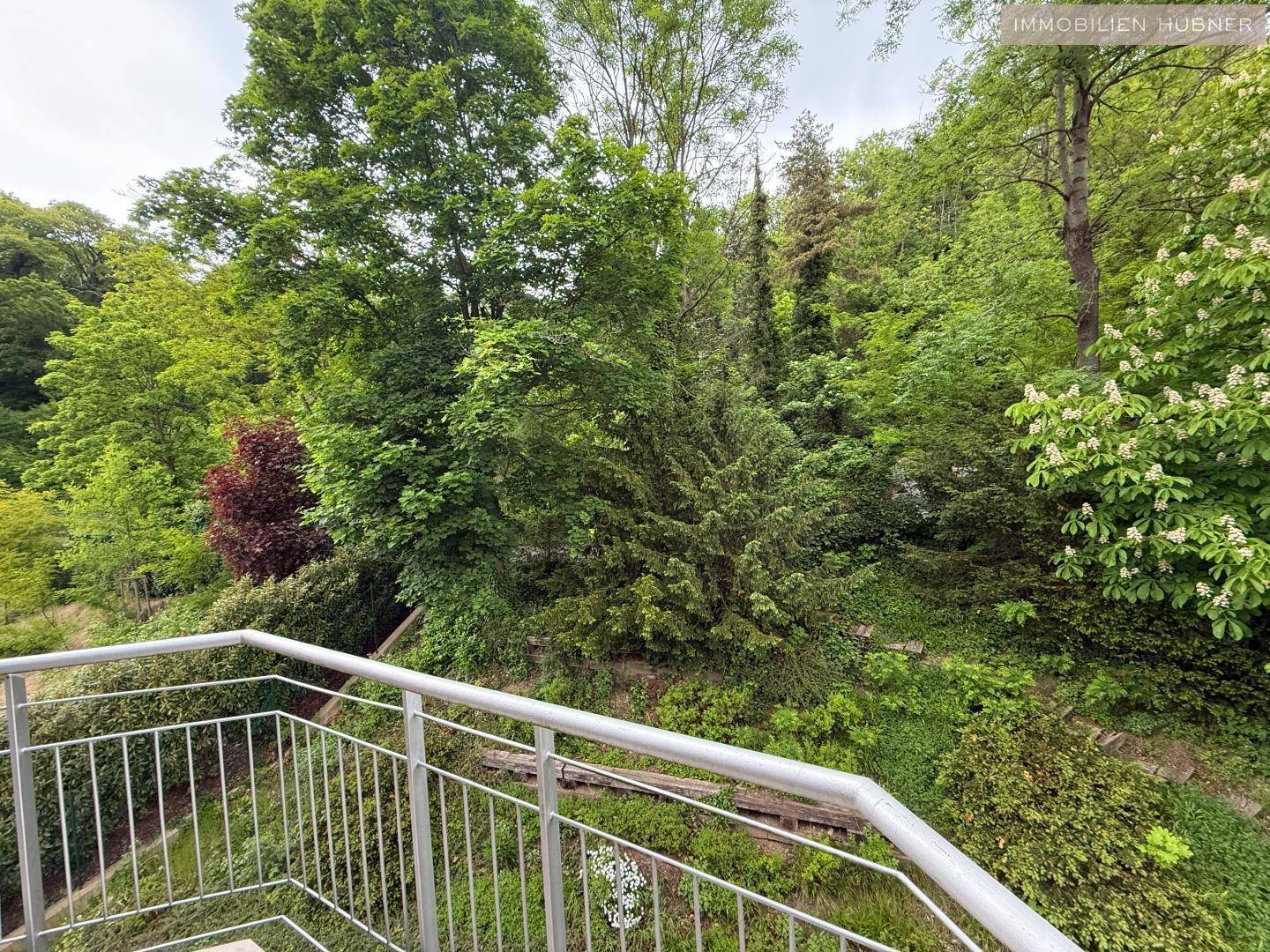 Hintere Terrasse mit Waldblick
