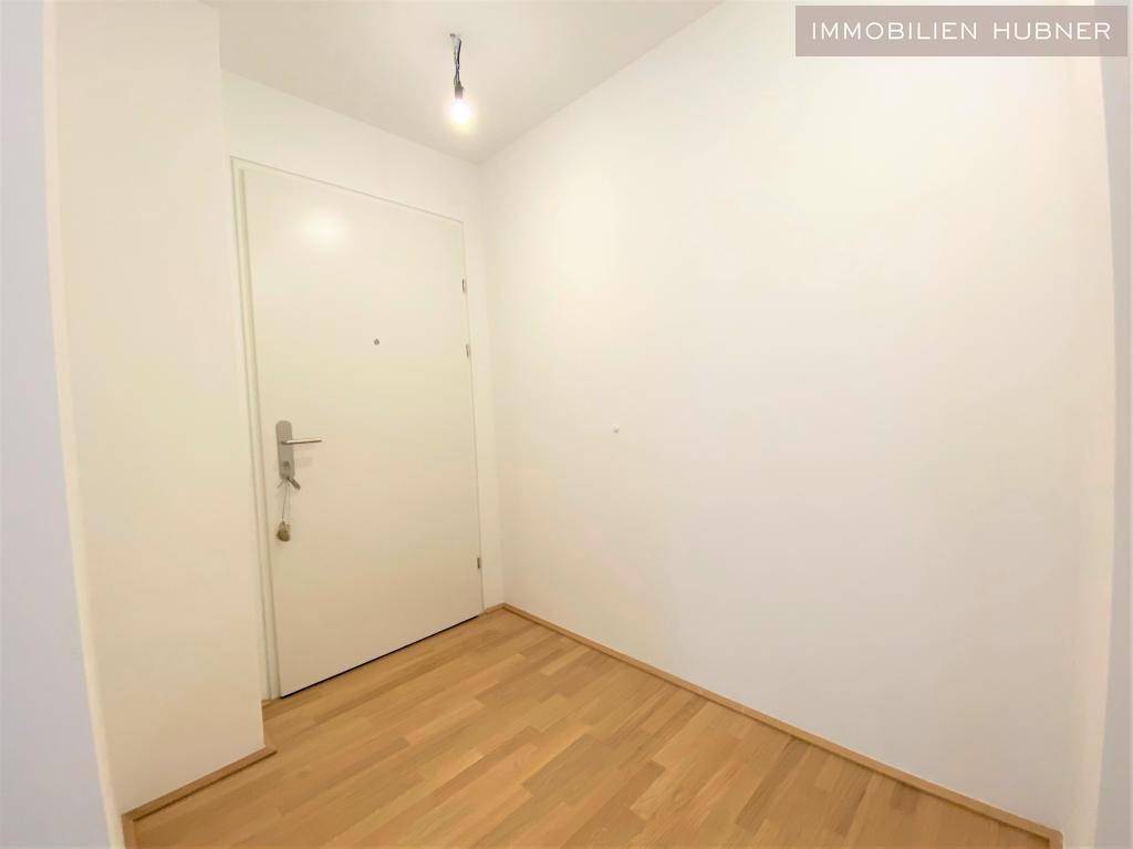 Bild (1)