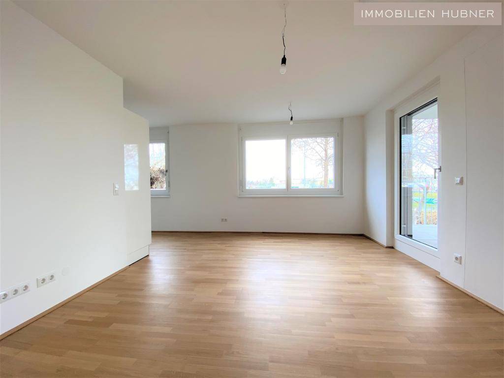 Bild (4)