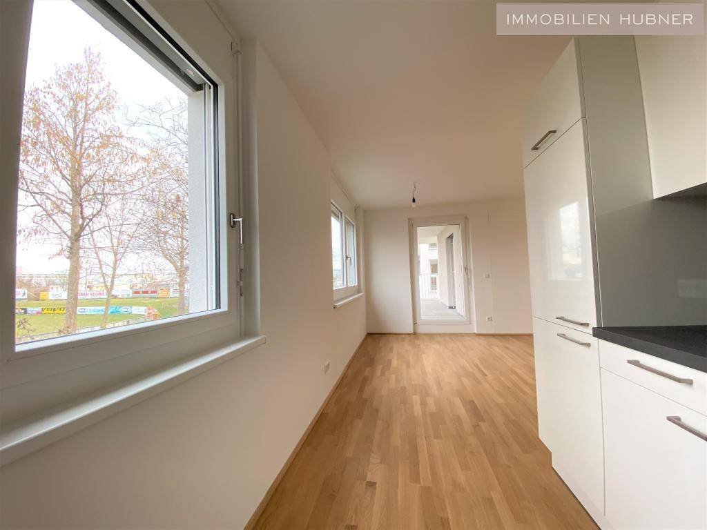Bild (6)