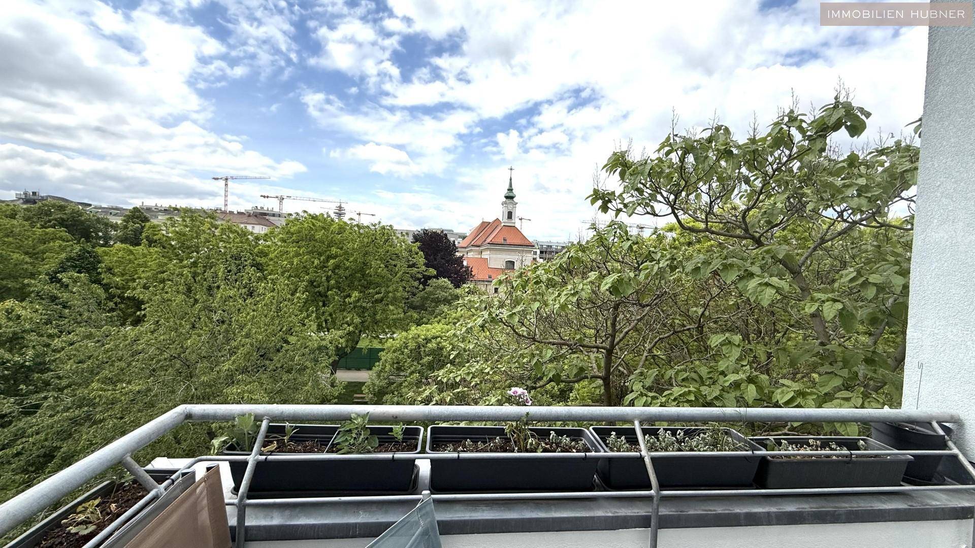 sensationeller Grünblick
