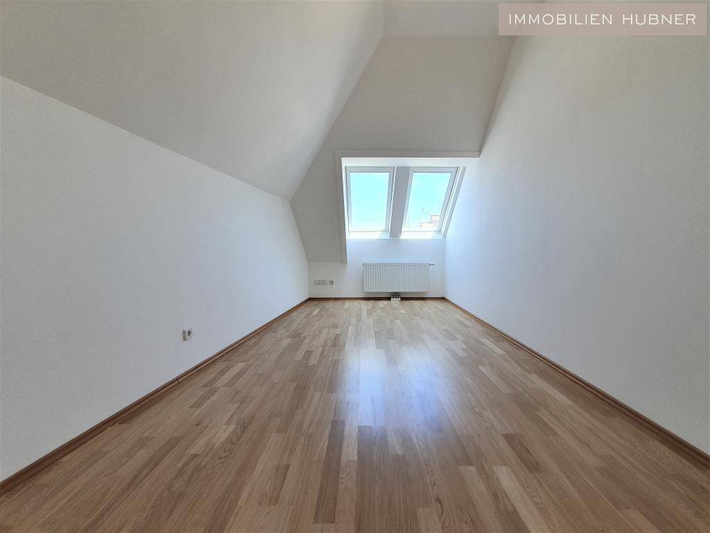 Zimmer3