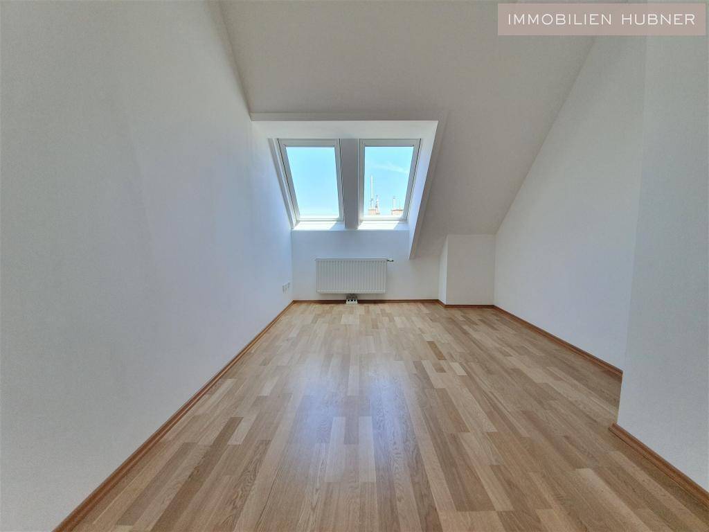 Zimmer1