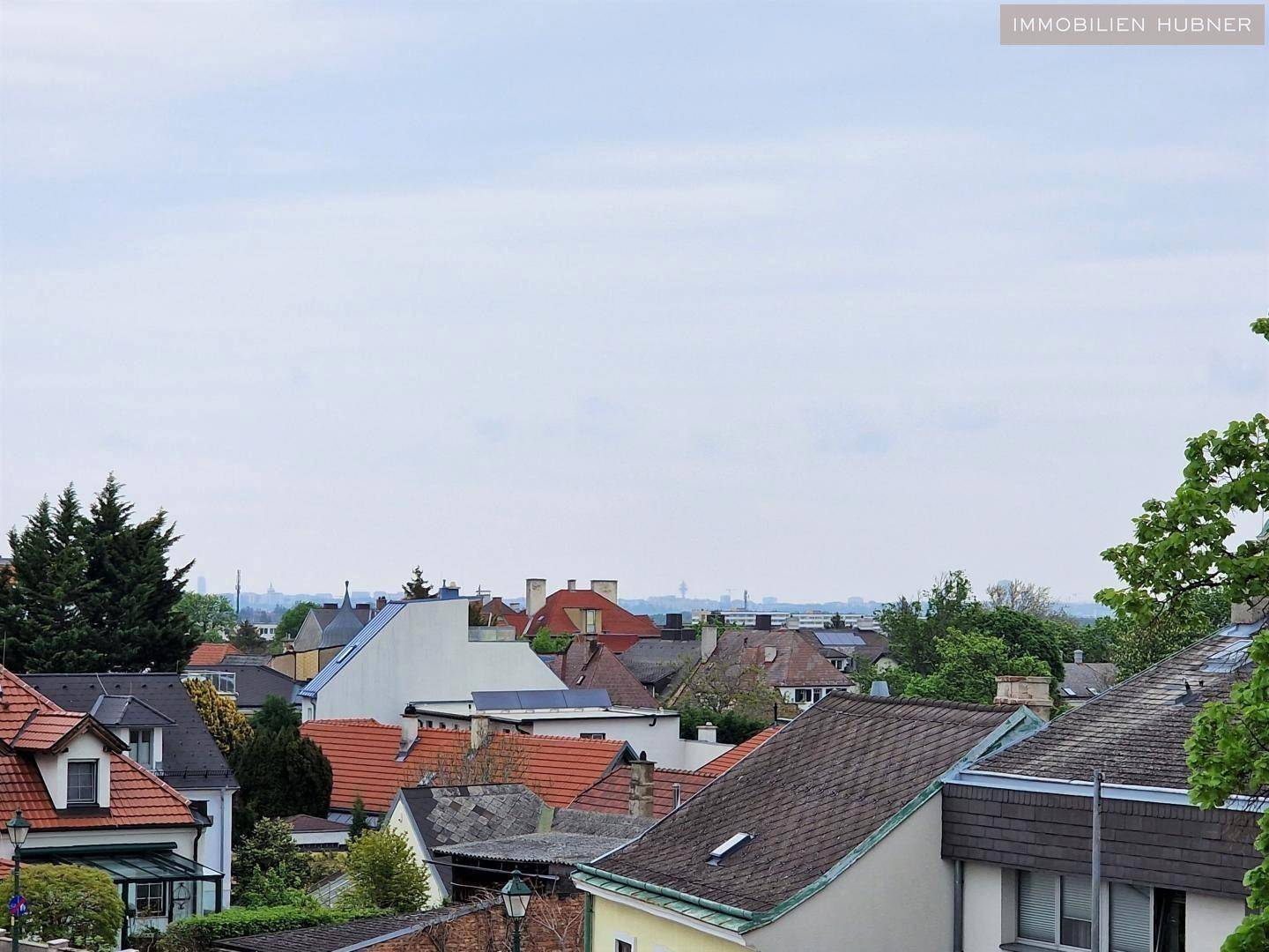 Bild (5)