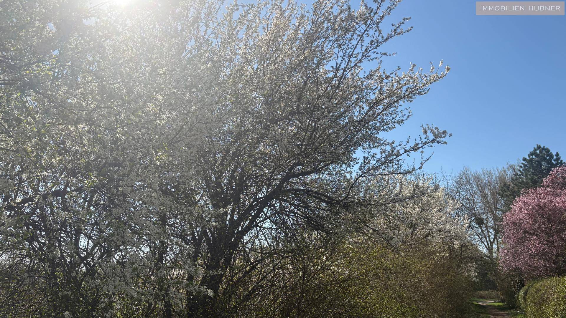 unglaublicher Blick aus dem Fenster