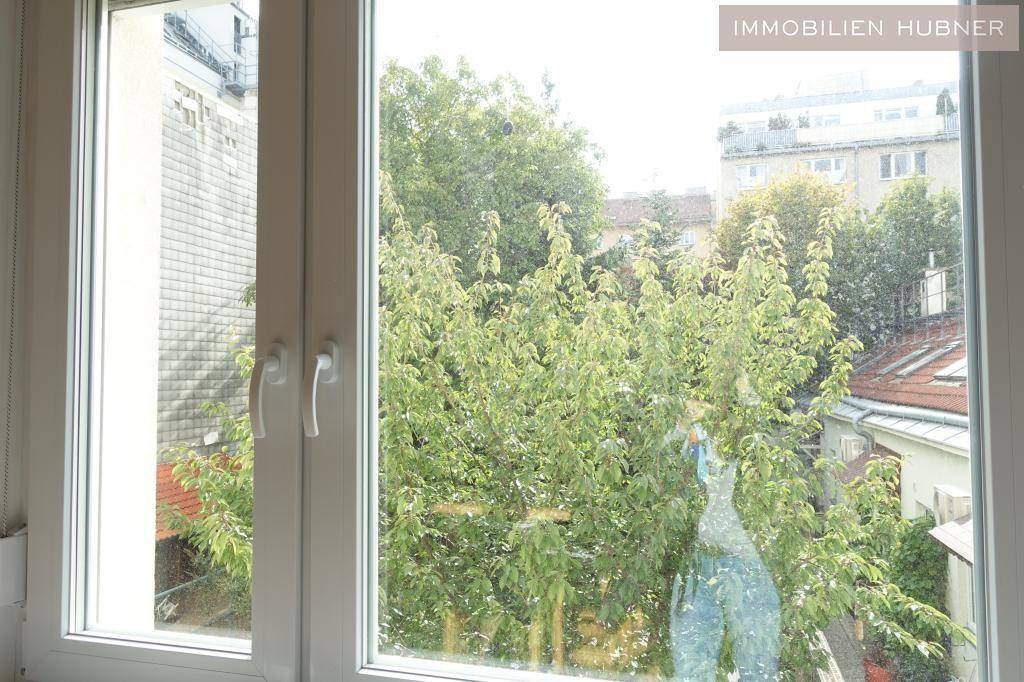 Blick ins Grüne