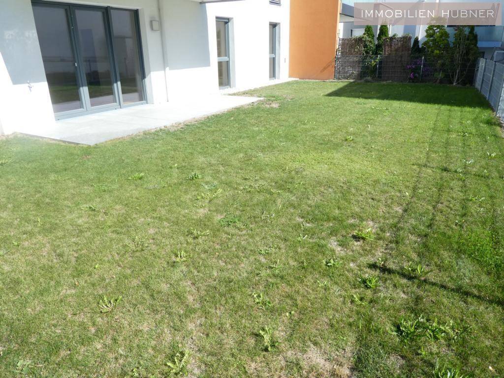 sonniger Garten