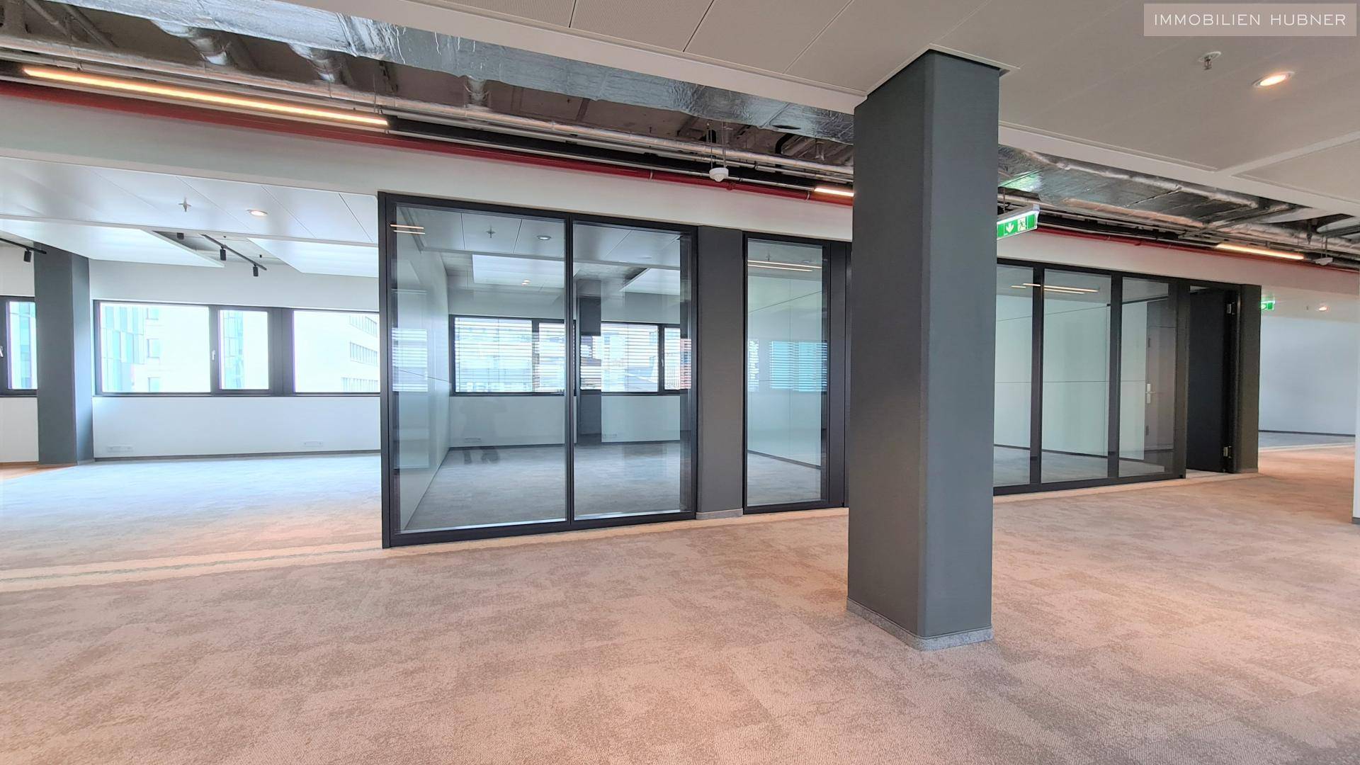Moderner Bürogang mit Teppichboden, Glaswänden und Blick in angrenzende Büros.