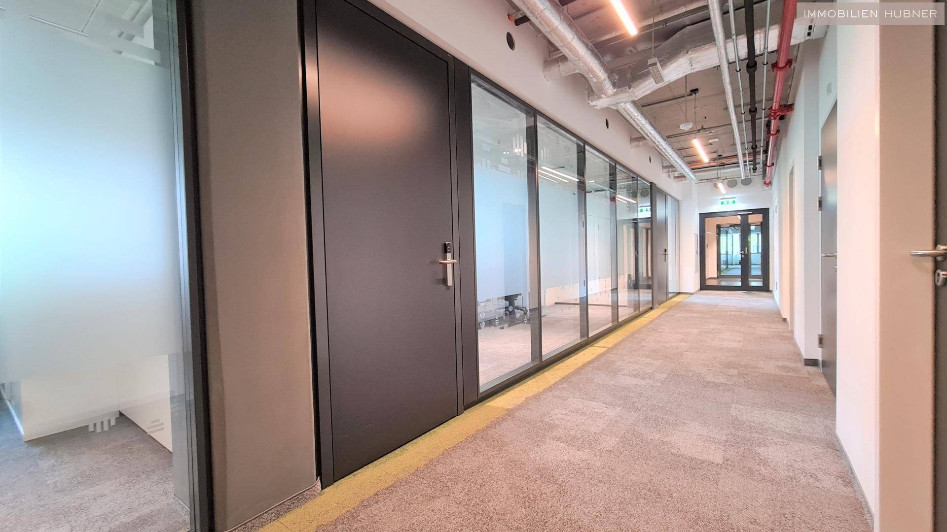 Moderner Flur mit Teppichboden, Glaswänden zu Büros und sichtbaren Deckeninstallationen.