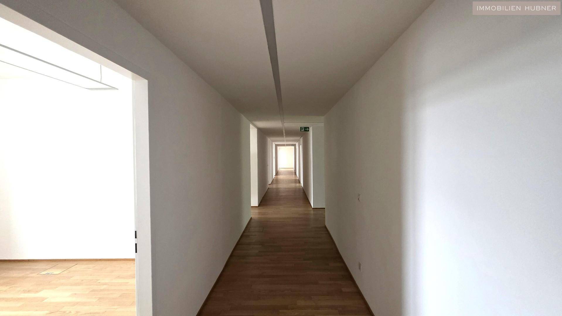 Langer, heller Flur mit Holzparkettboden, der zu weiteren Räumen und einem hellen Ende führt.