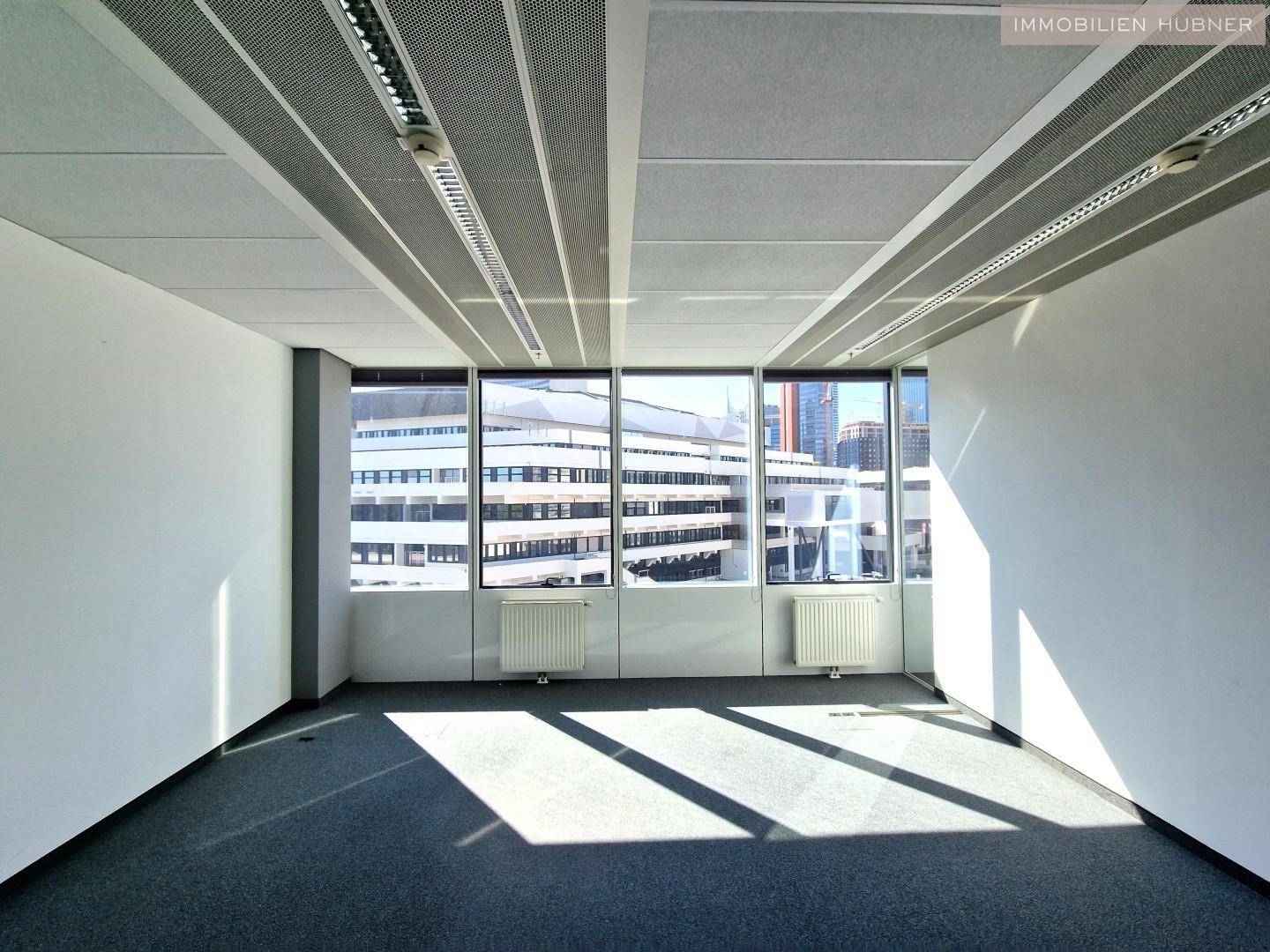 Leeres Büro mit Teppichboden und breiten Fenstern, die den Raum mit natürlichem Licht füllen.