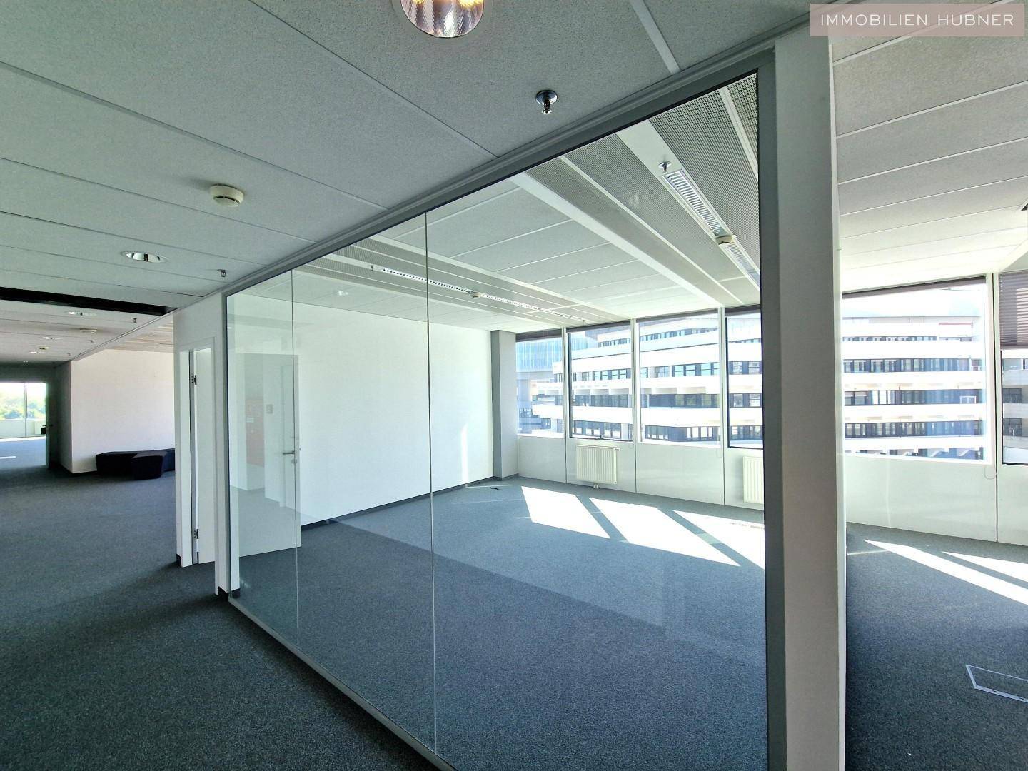Modernes Büro mit Glaswänden und Teppichboden, das viel Licht und eine offene Atmosphäre bietet.