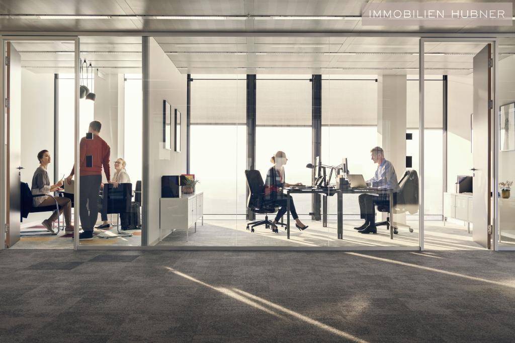 Modernes Großraumbüro mit Glaswänden, das eine kollaborative Arbeitsumgebung mit viel Tageslicht bietet.