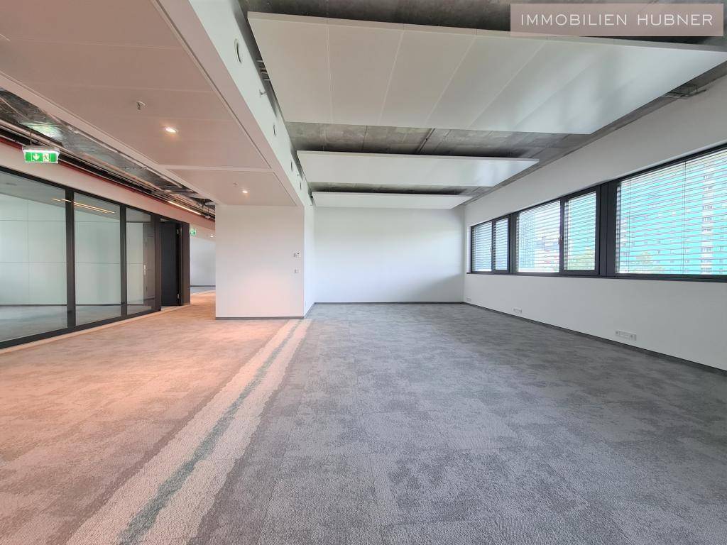 Weitläufiger, unmöblierter Bürobereich mit Teppichboden, großen Fenstern und moderner Deckenbeleuchtung, bereit zur Einrichtung.