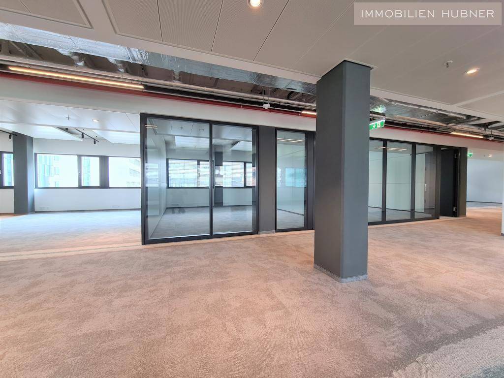 Weitläufiges, leeres Büro mit Glaswänden, Teppichboden und sichtbaren Deckeninstallationen, bereit zur Gestaltung.