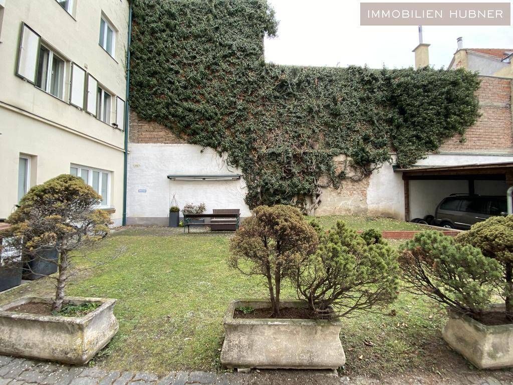Grüner Innenhof mit Rasenfläche, kleinen Bäumen in Pflanzkübeln und einer bewachsenen Wand.