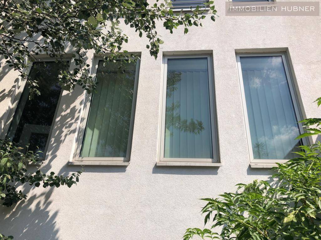 Nahaufnahme der Fassade mit hohen, schmalen Fenstern und grünen Blättern.