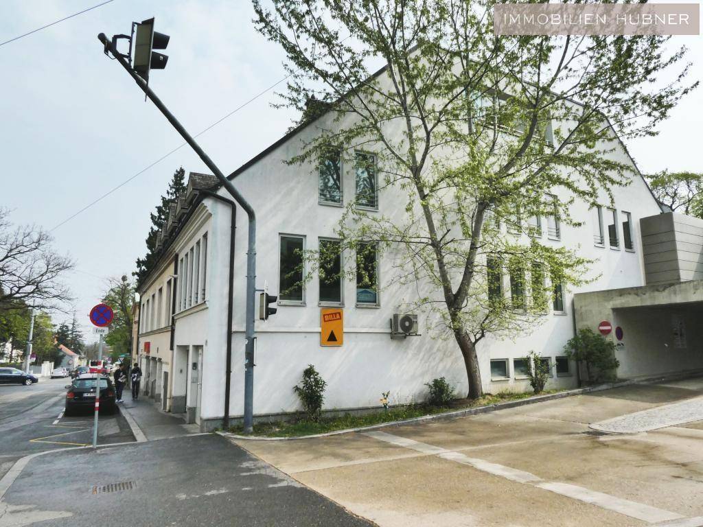 Weißes Gebäude mit großen Fenstern an einer Straßenecke, umgeben von Bäumen.