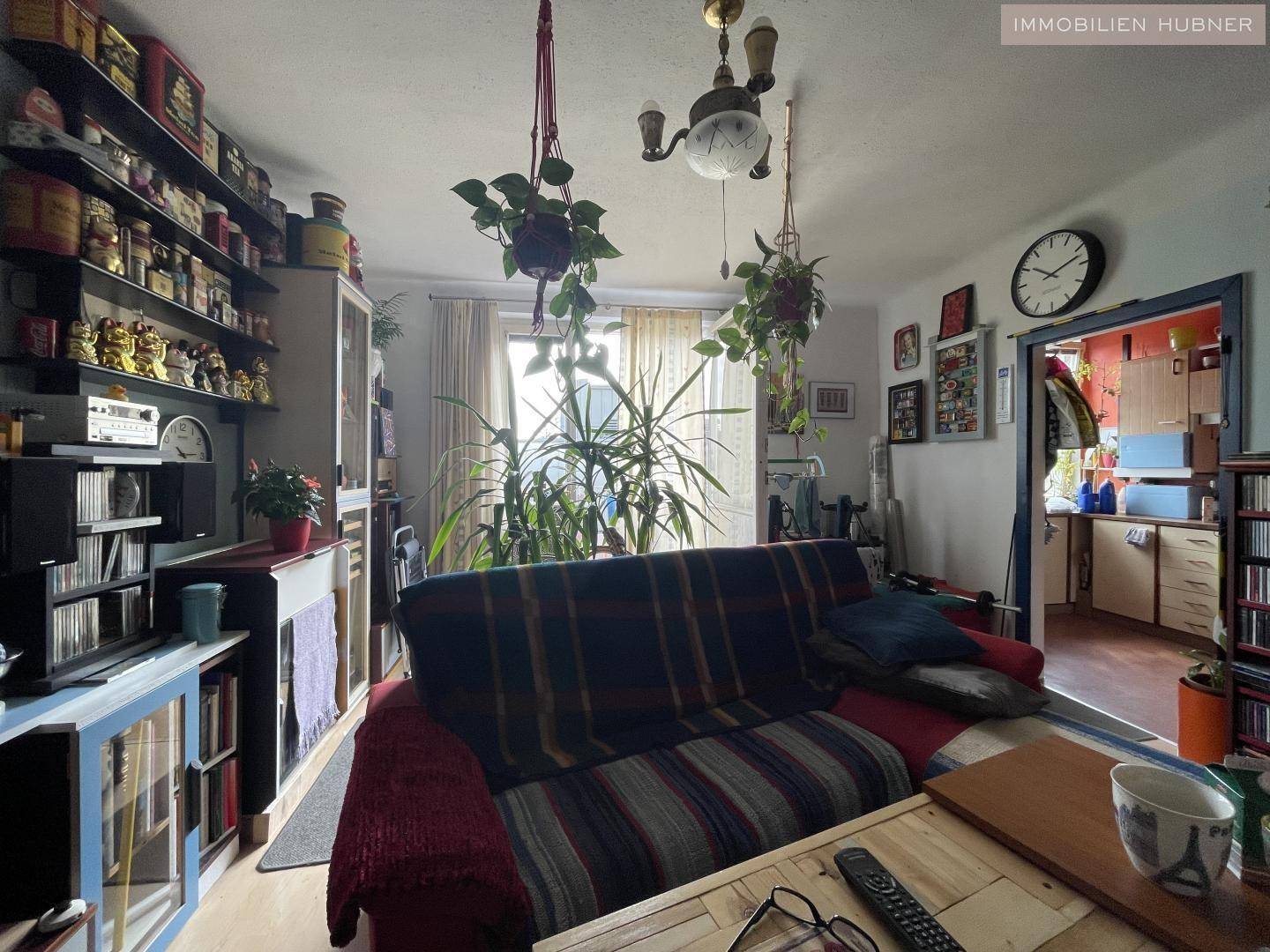 Wohnzimmer mit Sofa, vielen Büchern und Pflanzen, das eine persönliche und wohnliche Atmosphäre schafft.