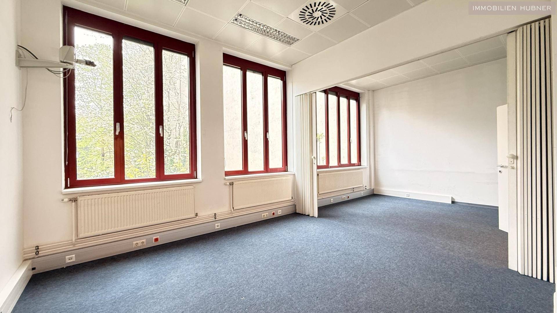 Helles Büro mit Teppichboden, mehreren Fenstern und Heizkörpern unter den Fenstern.