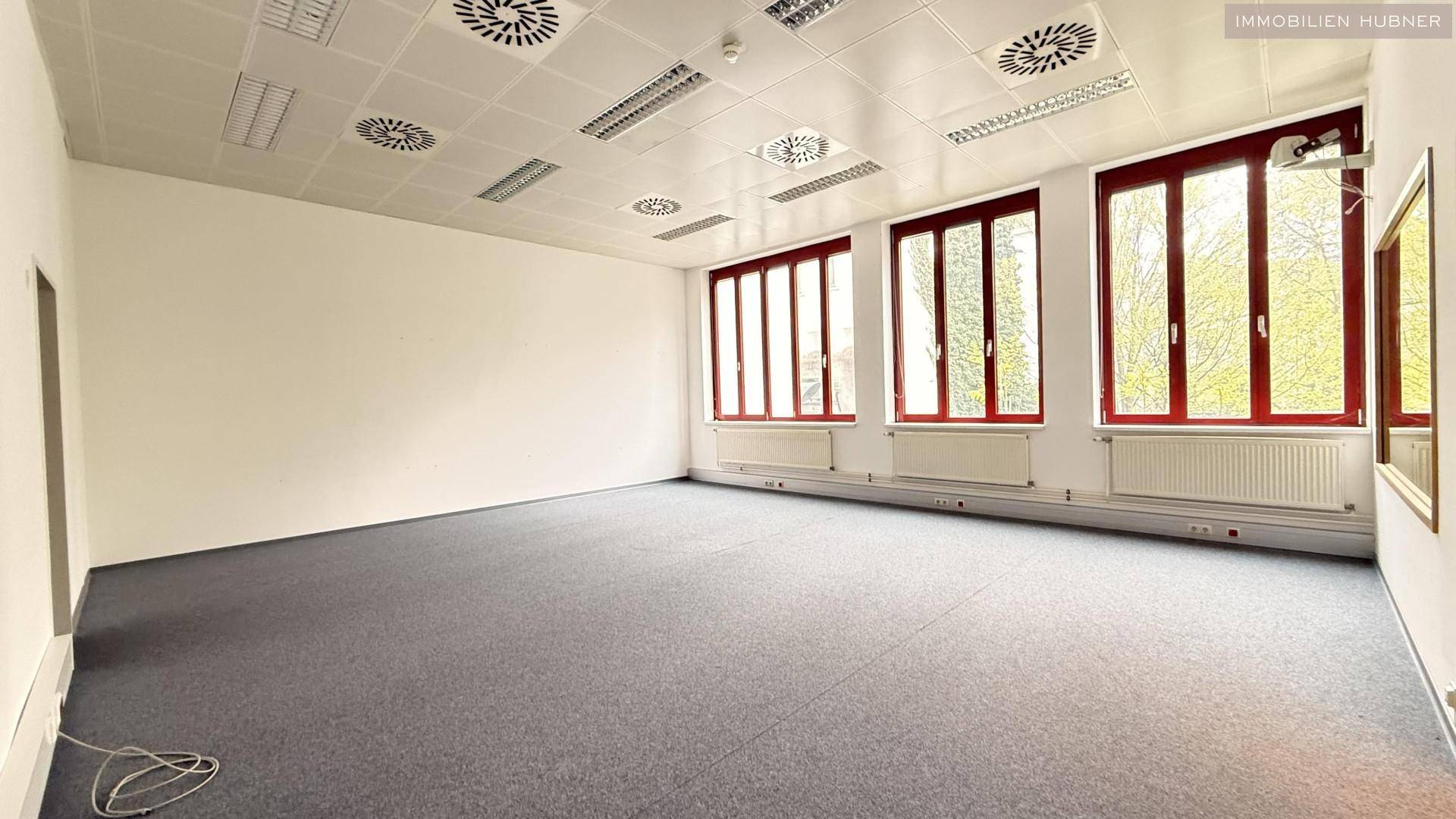 Geräumiges Büro mit Teppichboden, großen Fenstern und abgehängter Decke mit Beleuchtung.