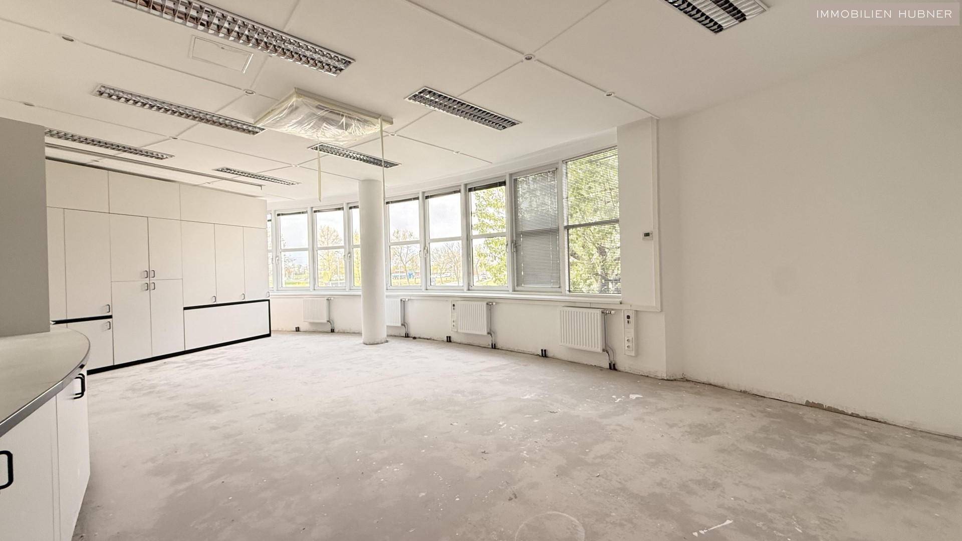 Großes, helles Büro mit vielen Fenstern und Einbauschränken, bietet viel Tageslicht und Stauraum.