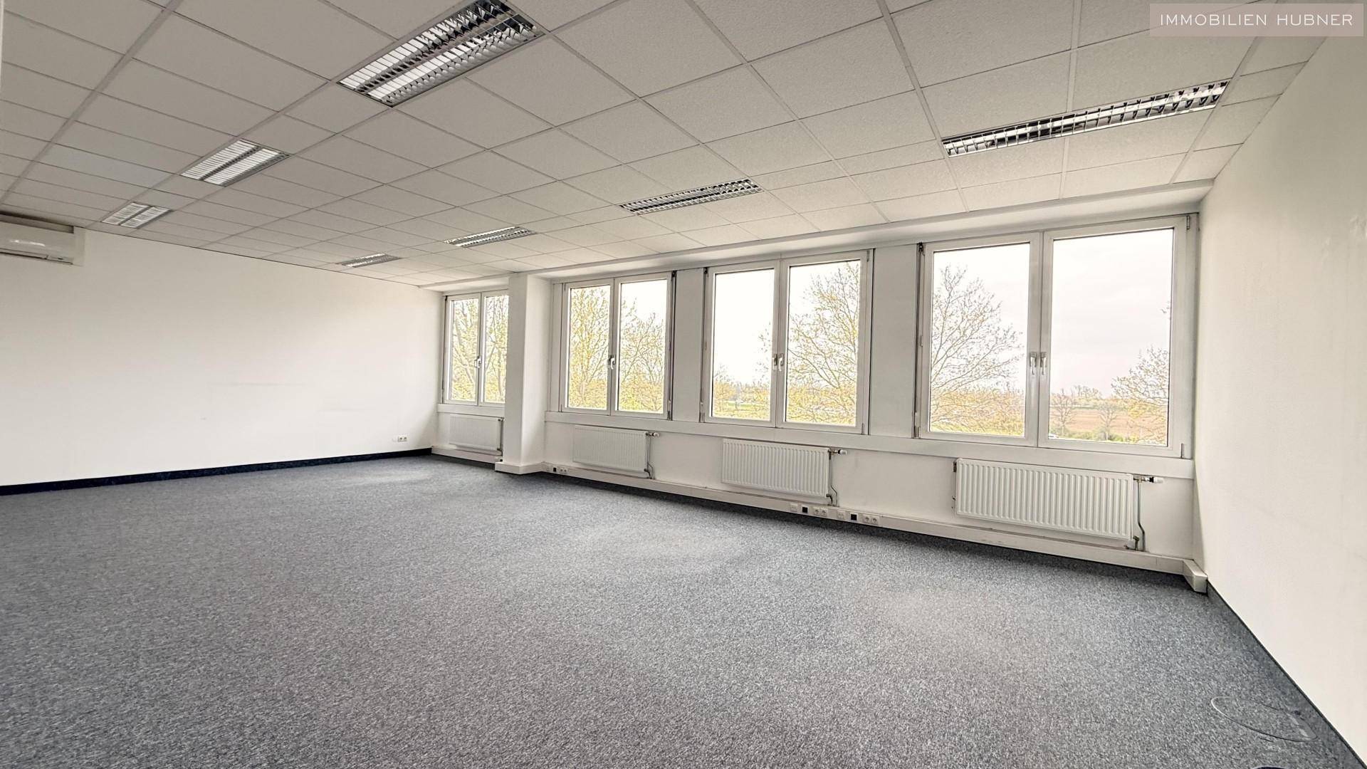 Großes, leeres Büro mit Teppichboden, vielen Fenstern und Deckenbeleuchtung, bereit zur Einrichtung.